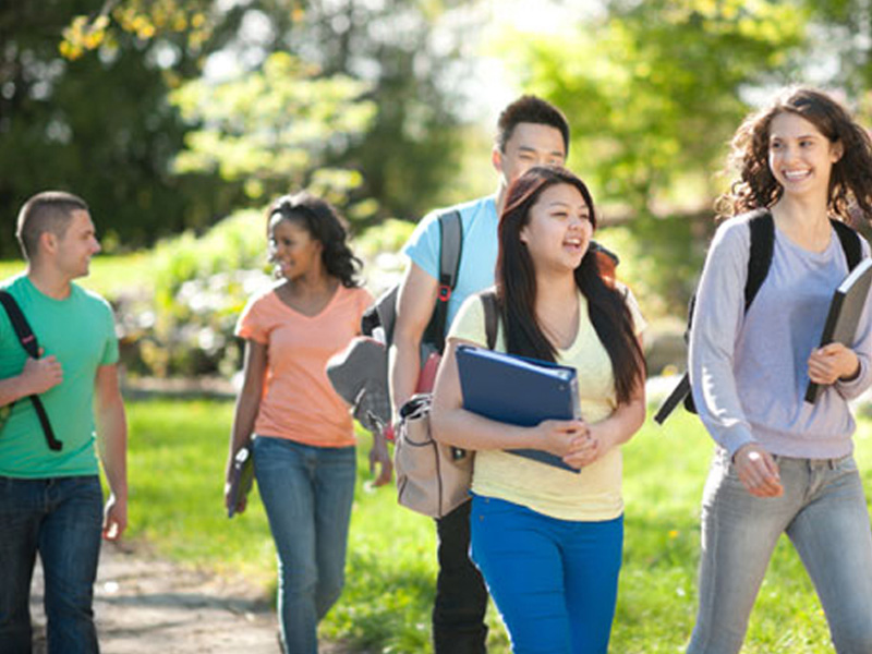 去哪买最便宜的网页DDOS攻击平台